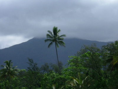 MSWellTravel_Australien Cape Tribulation