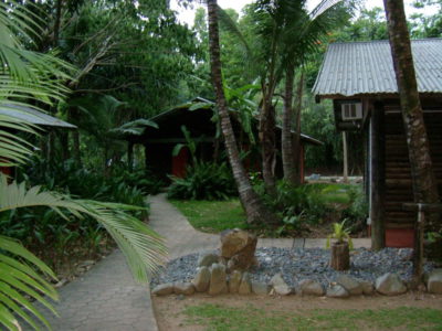 MSWellTravel_Australien Cape Tribulation