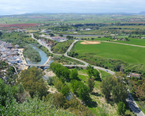 Arcos