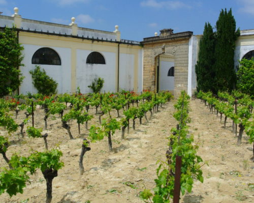 Weingut