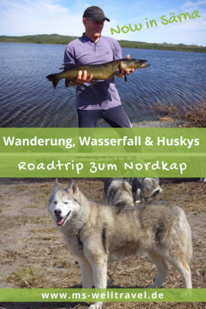 MSWellTravel_Pin_Mittelschweden1