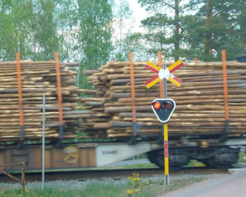 Zug mit Holzstämmen